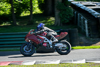 cadwell-no-limits-trackday;cadwell-park;cadwell-park-photographs;cadwell-trackday-photographs;enduro-digital-images;event-digital-images;eventdigitalimages;no-limits-trackdays;peter-wileman-photography;racing-digital-images;trackday-digital-images;trackday-photos